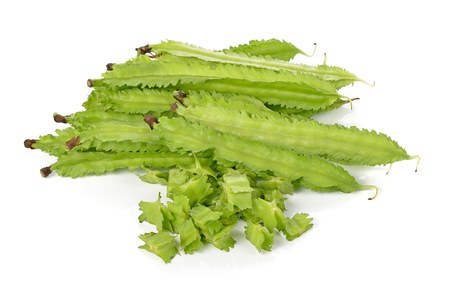 winged bean on white backgroundの写真素材