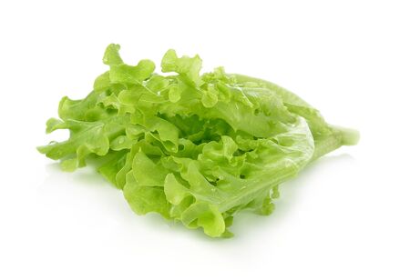 fresh lettuce leaves isolated on white background.の写真素材