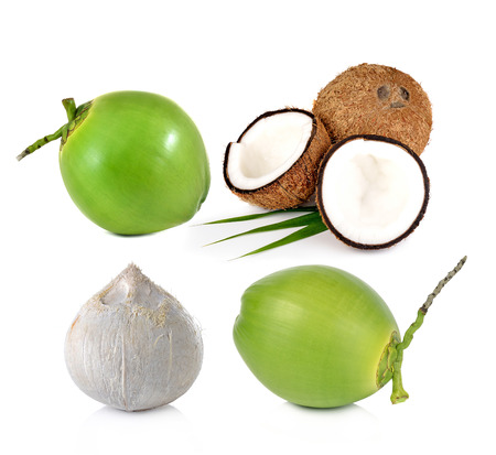 Coconuts  on a white backgroundの写真素材