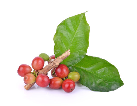 coffee beans on white background.の写真素材