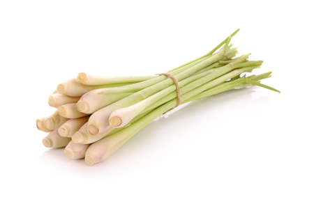 Lemon grass on white backgroundの写真素材