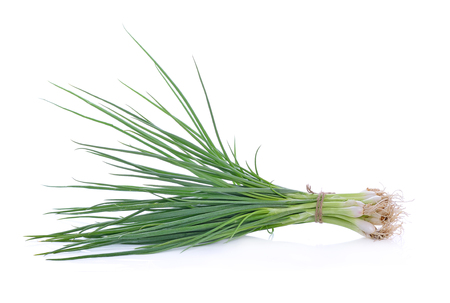 spring onions on a white background.の写真素材
