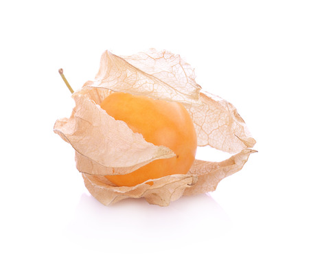 Cape gooseberry (physalis) isolated on white backgroundの写真素材