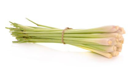 Lemon grass on white backgroundの写真素材