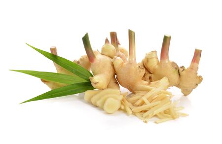 Fresh ginger isolated on white backgroundの写真素材