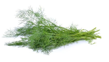 Dill on white backgroundの写真素材