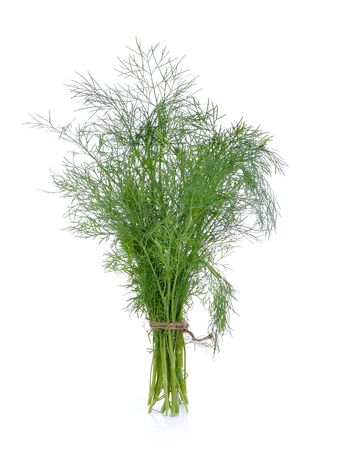 Dill on white backgroundの写真素材
