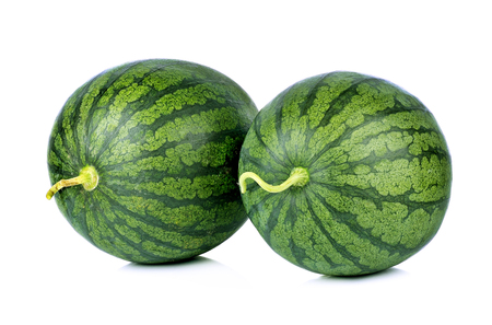 watermelon on white backgroundの写真素材