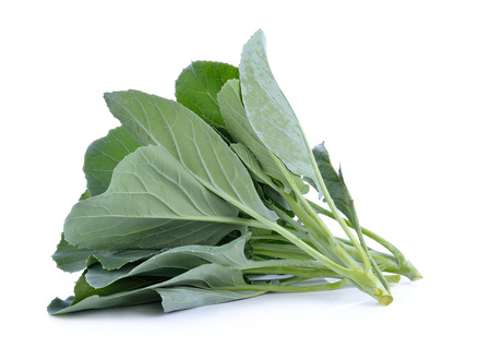 Chinese Broccoli Isolated on white backgroundの写真素材