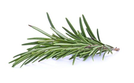 Rosemary isolated on white backgroundの写真素材
