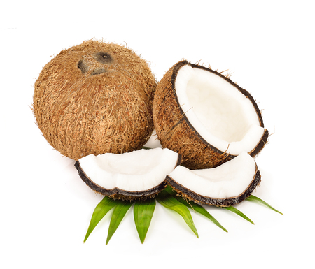 coconut on white backgroundの写真素材