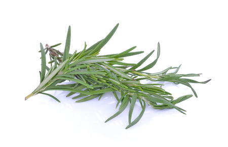 Rosemary isolated on white backgroundの写真素材