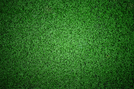 Soccer football grass fieldの写真素材