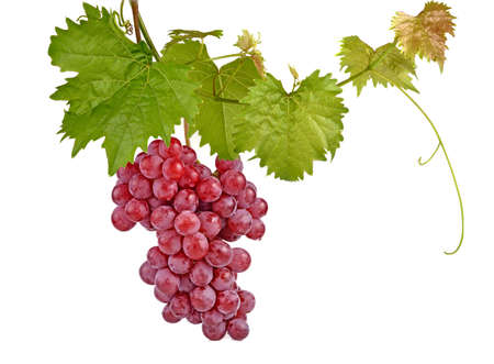 red grapes isolated on white backgroundの写真素材