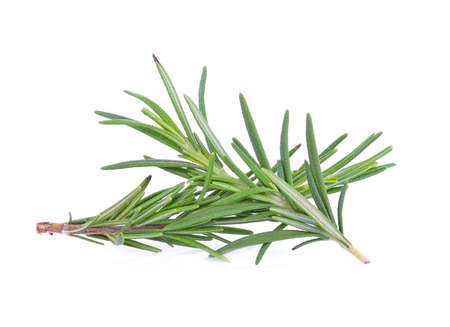 Rosemary isolated on white backgroundの写真素材