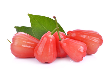 rose apple isolated on white backgroundの写真素材