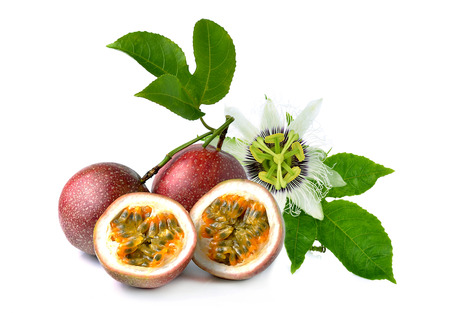 Passion fruit isolated on white backgroundの写真素材