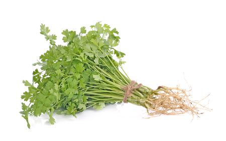 parsley isolated on white background.の写真素材