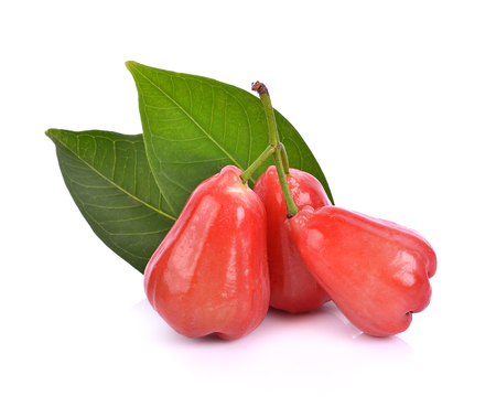 rose apple isolated on white backgroundの写真素材