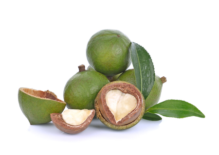 macadamia nuts on white backgroundの写真素材