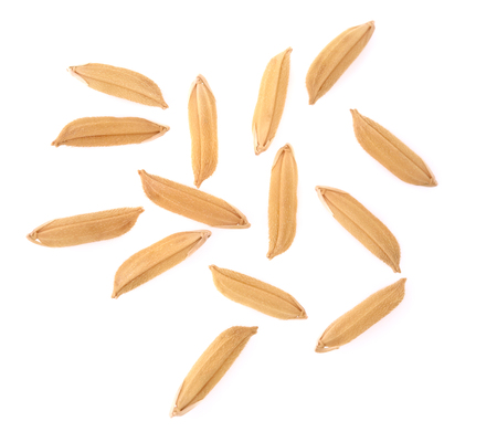 rice grains  isolated on white backgroundの写真素材