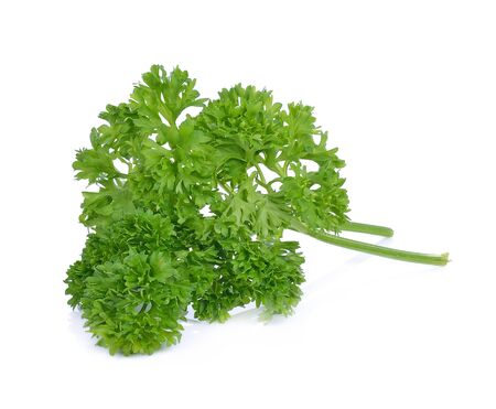 parsley isolated on white backgroundの写真素材