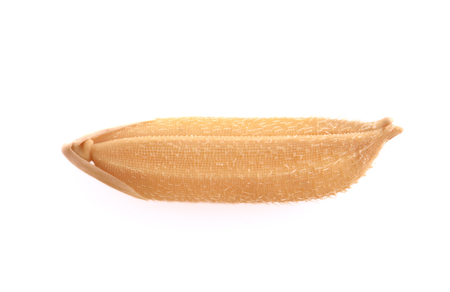 rice grains  isolated on white backgroundの写真素材