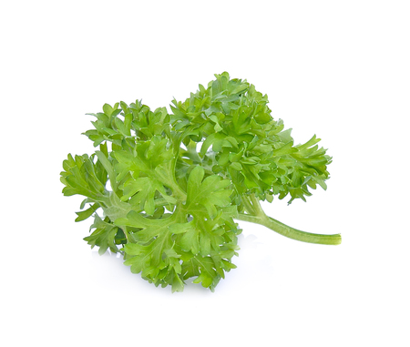 parsley isolated on white backgroundの写真素材