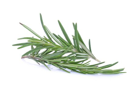 Rosemary isolated on white backgroundの写真素材