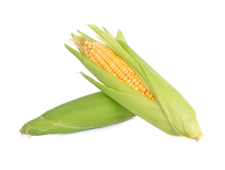 corn isolated on white background.の写真素材