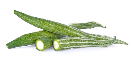 Snake gourd over white backgroundの写真素材
