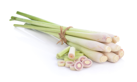 Lemon grass on white backgroundの写真素材