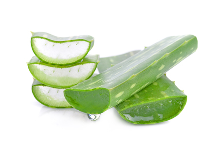 aloe vera fresh leaf.  isolated on  white backgroundの写真素材