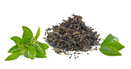green tea  leafの写真素材
