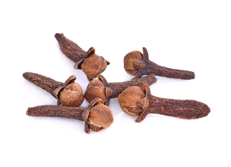 Spice cloves on white backgroundの写真素材