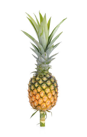 ripe  pineapple isolated on white backgroundの写真素材