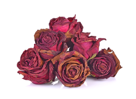 Dry roses isolated on white backgroundの写真素材