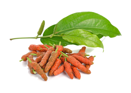 Long Pepper isolated on white backgroundの写真素材