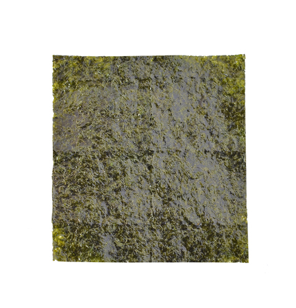 seaweed on white backgroundの写真素材