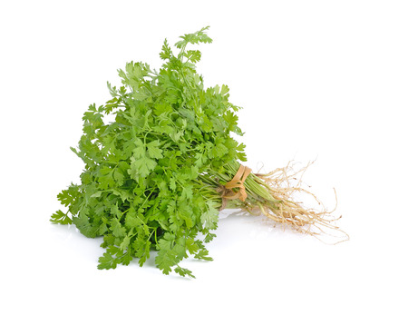 parsley isolated on white background.の写真素材