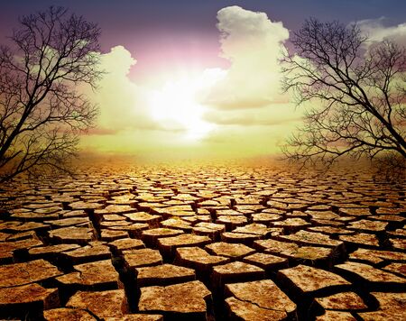 orange cloudy sunset over cracked desertの写真素材