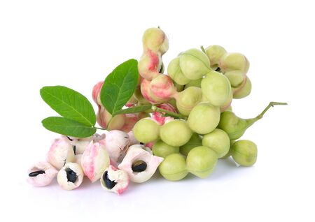 manila tamarind on white backgroundの写真素材