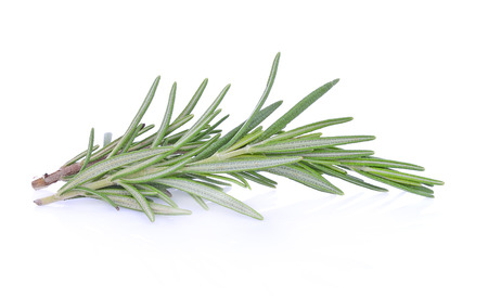 rosemary isolated on  white backgroundの写真素材