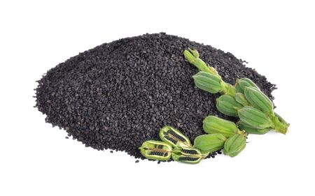 Black Sesame Seeds isolated on white background.の写真素材