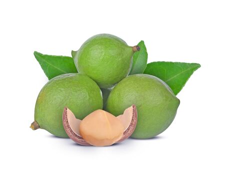 macadamia nuts  isolated  on white backgroundの写真素材