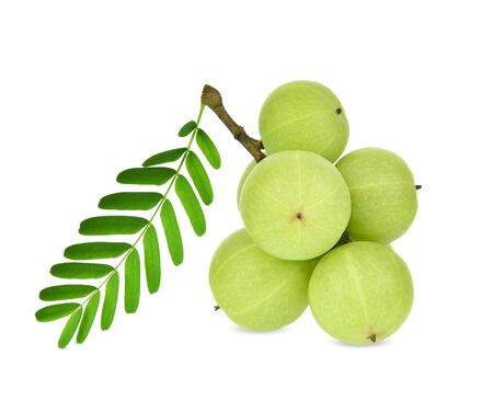 Indian gooseberry isolated on white backgroundの写真素材