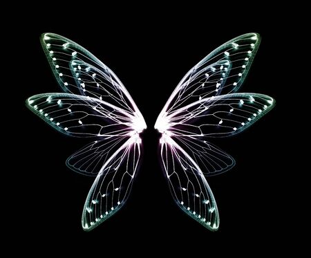 wings of Insect cicada on black bacgroundの写真素材