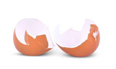 egg shell on a white background. の写真素材