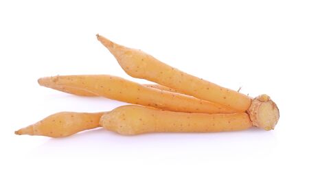 Fingerroot with on white backgroundの写真素材