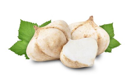 jicama isolated on white backgroundの写真素材